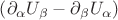 $\left( \partial_{\alpha} U_{\beta} -  \partial_{\beta} U_{\alpha} \right)$