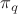 $\pi_q$