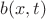 $b(x, t)$