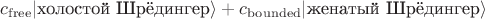 $ c_\mathrm{free} | \text{холостой Шрёдингер} \rangle + c_\mathrm{bounded}  | \text{женатый Шрёдингер} \rangle $