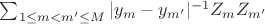 $\sum _{1\le m <m'\le M} |y_m-y_{m'}|^{-1}Z_mZ_{m'}$