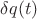 $\delta{q}(t)$