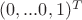 $(0,...0,1)^{T}$