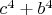 $c^4+b^4$