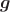 \boldsymbol{g}