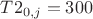 $T2_{0,j}=300$