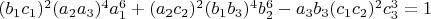 $(b_1c_1)^2(a_2a_3)^4a_1^6+(a_2c_2)^2(b_1b_3)^4b_2^6-a_3b_3(c_1c_2)^2c_3^3=1$