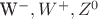 W^-, W^+, Z^0