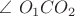 $\angle\ O_1 C O_2 $