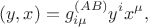 $$(y,x)=g^{(AB)}_{i\mu} y^i x^\mu,$$