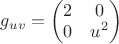 $g_{uv} = \begin{pmatrix} 2 & 0 \\ 0 & u^2 \end{pmatrix}$