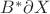 $B^*\partial X$