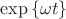 $\exp\left\lbrace \omega t \right\rbrace$