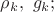 $\rho _{k}, \ g_{k};$