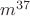 $m^{37}$