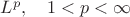 $L^p,\quad 1<p<\infty$