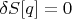 $\delta S[q]=0$