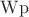 $\operatorname{Wp}$