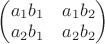 $\left(\begin{matrix}a_1 b_1 & a_1 b_2\\ a_2 b_1 & a_2 b_2\end{matrix}\right)$