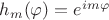 $h_m(\varphi)=e^{im\varphi}$