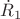 $\dot{R}_1$