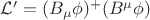 $\mathcal{L'}=(B_{\mu}\phi)^{+}(B^{\mu}\phi)$
