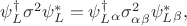 $\psi^\dagger_L\sigma^2\psi^*_L=\psi^\dagger_L_\alpha\sigma^2_{\alpha\beta}\psi^*_L_\beta, $
