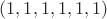 $(1,1,1,1,1,1)$