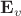 $\mathbf{E}_v$