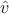 $\hat{v}$