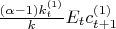 $\frac{ (\alpha -1)k_t^{(1)}} {k}E_{t}c_{t+1}^{(1)}$
