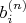 $b_i^{(n)}$