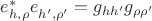 $\(e^{*}_{h,\rho}e^{}_{h',\rho'}=g_{hh'}g_{\rho\rho '}\)$
