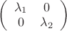 $ 
\left( \begin{array}{cc} \lambda_{1} & 0 \\ 
0 & \lambda_{2} \end{array} \right)$