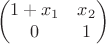 $$\begin{pmatrix}
1+x_1 & x_2 \\
0 & 1     
\end{pmatrix}$$