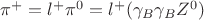 $\pi^+ = l^+\pi^0 = l^+(\gamma_B\gamma_BZ^0)$