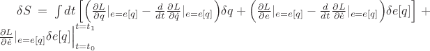 $
\delta S=\int dt \left[\Bigl(\frac{\partial L}{\partial q}|_{e=e[q]}-\frac{d}{dt}\frac{\partial L}{\partial\dot{q}}|_{e=e[q]}\Bigr)\delta q+\Bigl(\frac{\partial L}{\partial e}|_{e=e[q]}-\frac{d}{dt}\frac{\partial L}{\partial\dot{e}}|_{e=e[q]}\Bigr)\delta e[q]\right]+\frac{\partial L}{\partial\dot{e}}|_{e=e[q]}\delta e[q]\Big|_{t=t_0}^{t=t_1}$