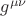 $g^{\mu \nu }$