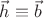 $\vec{h}\equiv\vec{b}$