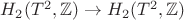 $H_2(T^2,\mathbb{Z})\to H_2(T^2,\mathbb{Z})$