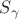 $S_{\gamma}$