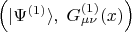 $\left( | \Psi^{(1)} \rangle, \; G^{(1)}_{\mu \nu}(x) \right)$