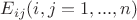 ${E}_{ij} (i, j = 1, ..., n)$