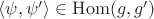 $\langle \psi,\psi '\rangle\in\mathrm{Hom}(g,g')$