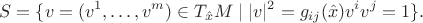 $$S=\{v=(v^1,\ldots,v^m)\in T_{\hat x}M\mid |v|^2=g_{ij}(\hat x)v^iv^j=1\}.$$