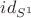 $id_{S^1}$