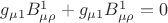 $g_{\mu 1}B^1_{\mu\rho}+g_{\mu 1}B^1_{\mu\rho}=0$
