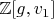$\mathbb{Z}[g, v_1]$