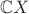$\mathbb{C}X$ $\mathbb{C}X$