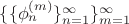 $\{ \{\phi_{n}^{(m)}\}_{n=1}^{\infty} \}_{m=1}^{\infty}$ $\{ \{\phi_{n}^{(m)}\}_{n=1}^{\infty} \}_{m=1}^{\infty}$